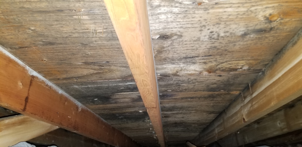 Mold inspections